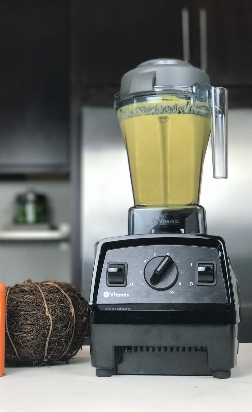 Pumpkin smoothie in our new Vitamix E310.