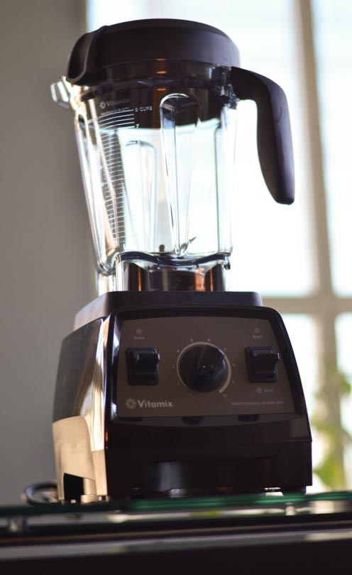 Picture of Vitamix Pro 300 tall