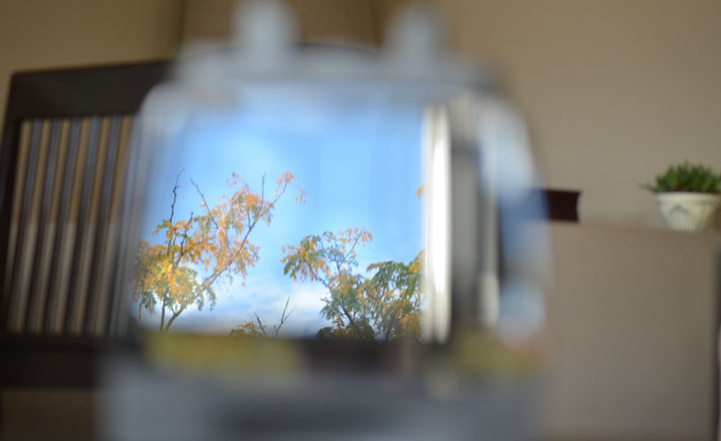 An artistic photo of a fall day's reflection in the face of a new Vitamix 780.