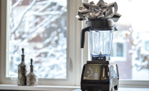 holiday special vitamix 780 silver bow