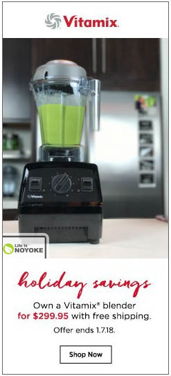 Vitamix Holiday Savings 2017 showing Explorian E310 with green smoothie on sale for $299