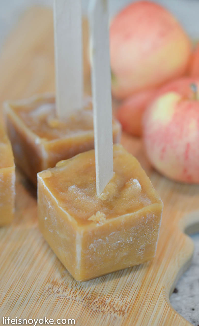 Apple cider pops cube-style with wood sticks.
