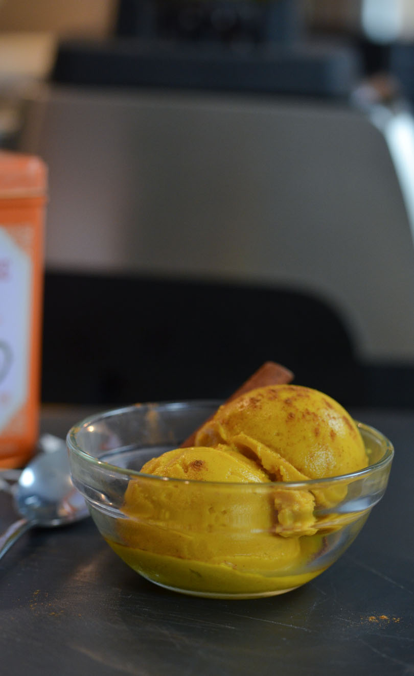 Pumpkin ice cream with Vitamix Pro 750 in background.