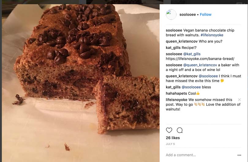 Susan Soolooee instagram pic of noyoke vegan chocolate chip banana bread.