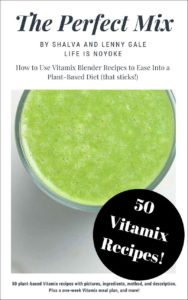 The Perfect Mix Vitamix Recipe book by Shalva and Lenny Gale 2018 cover with green juice.