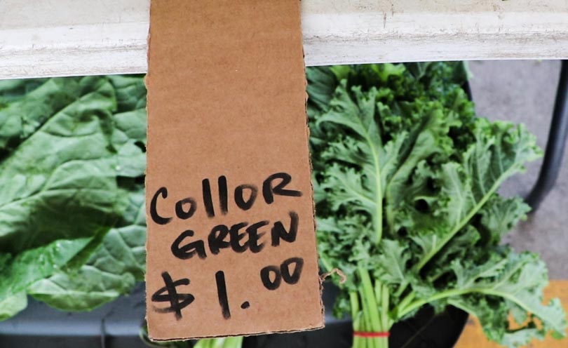 Juicing on a budget with one dollar collard greens from the farmer's market.