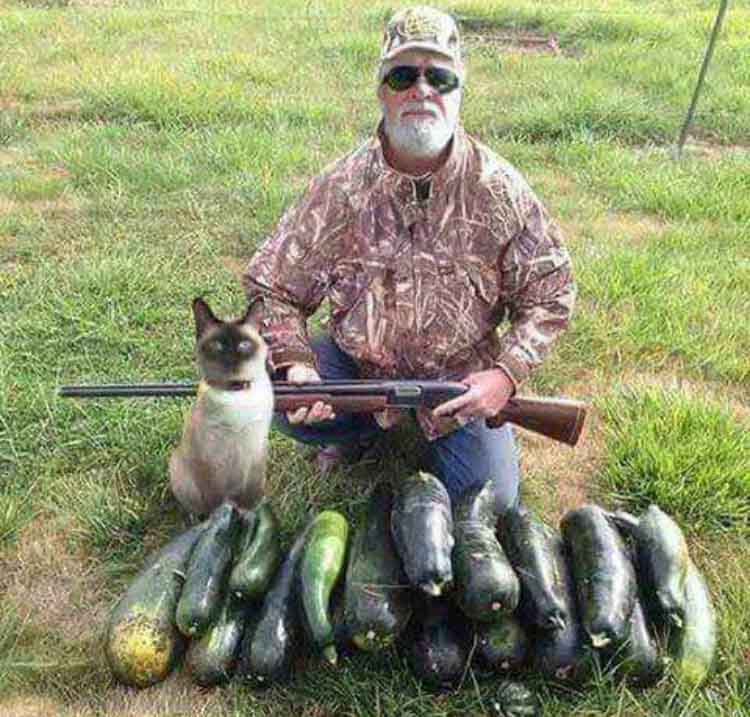 Zucchini hunting season