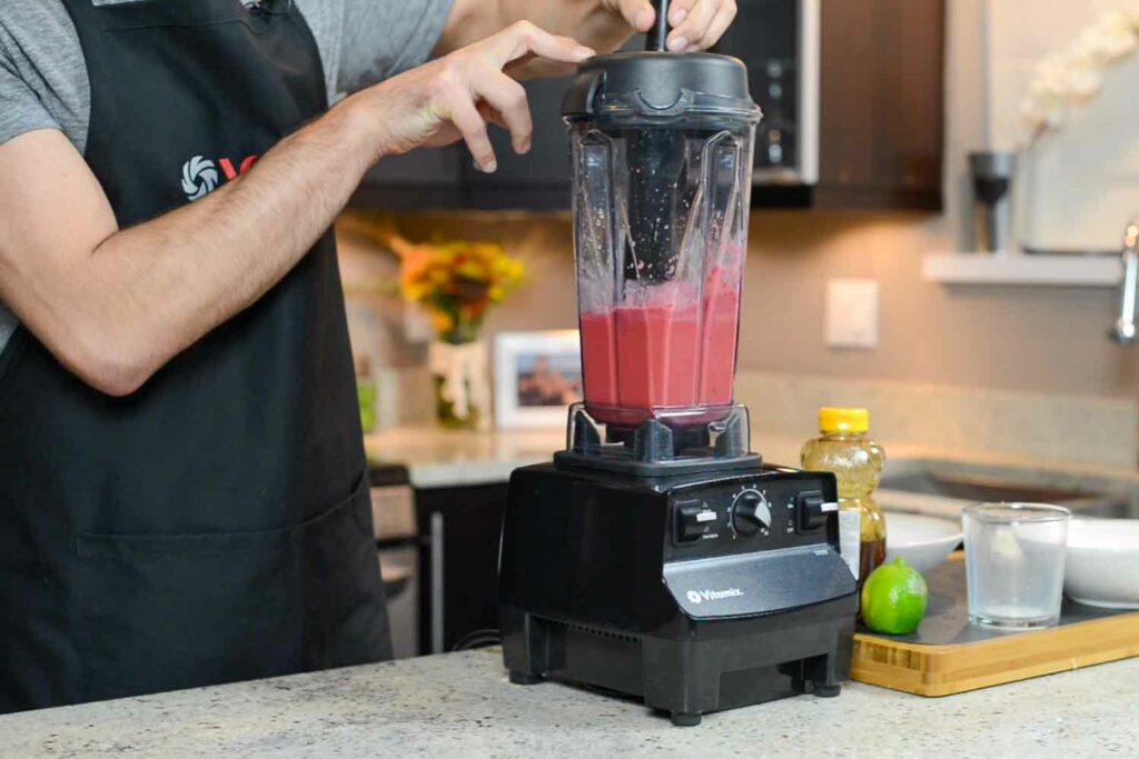 reconditioned vitamix standard lenny